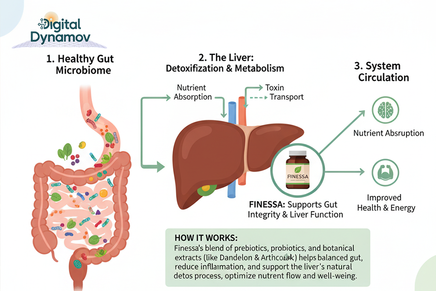 Why It Matters for Digestive Health