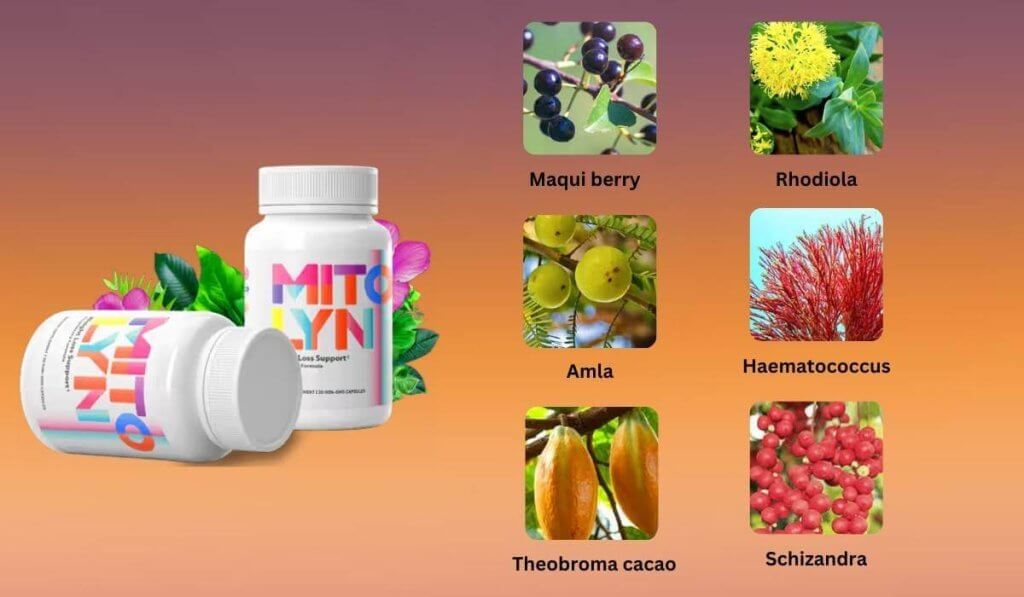 Boost Your Metabolism Naturally