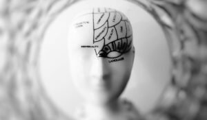 Best Nootropic Supplements — Best Nootropic Supplements: Your Guide to Cognitive Enhancement — Photo by meo on Pexels