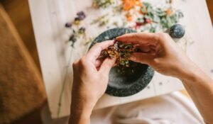 Best Herbal Supplements — Best Herbal Supplements: Your Guide to Natural Wellness — Photo by Yan Krukau on Pexels