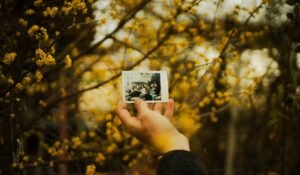 How to Improve Memory Naturally — How to Improve Memory Naturally: 10 Proven Ways — Photo by Tacettin Veli Çetin on Pexels